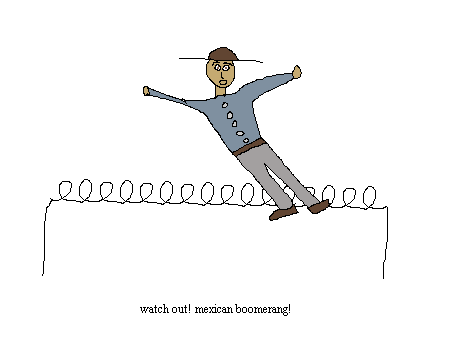 mexican boomerang