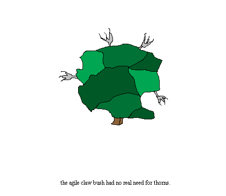 claw bush