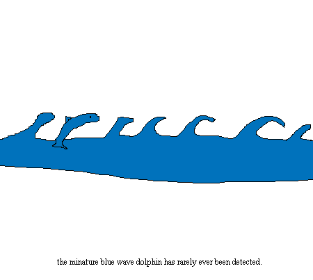wave dolphin